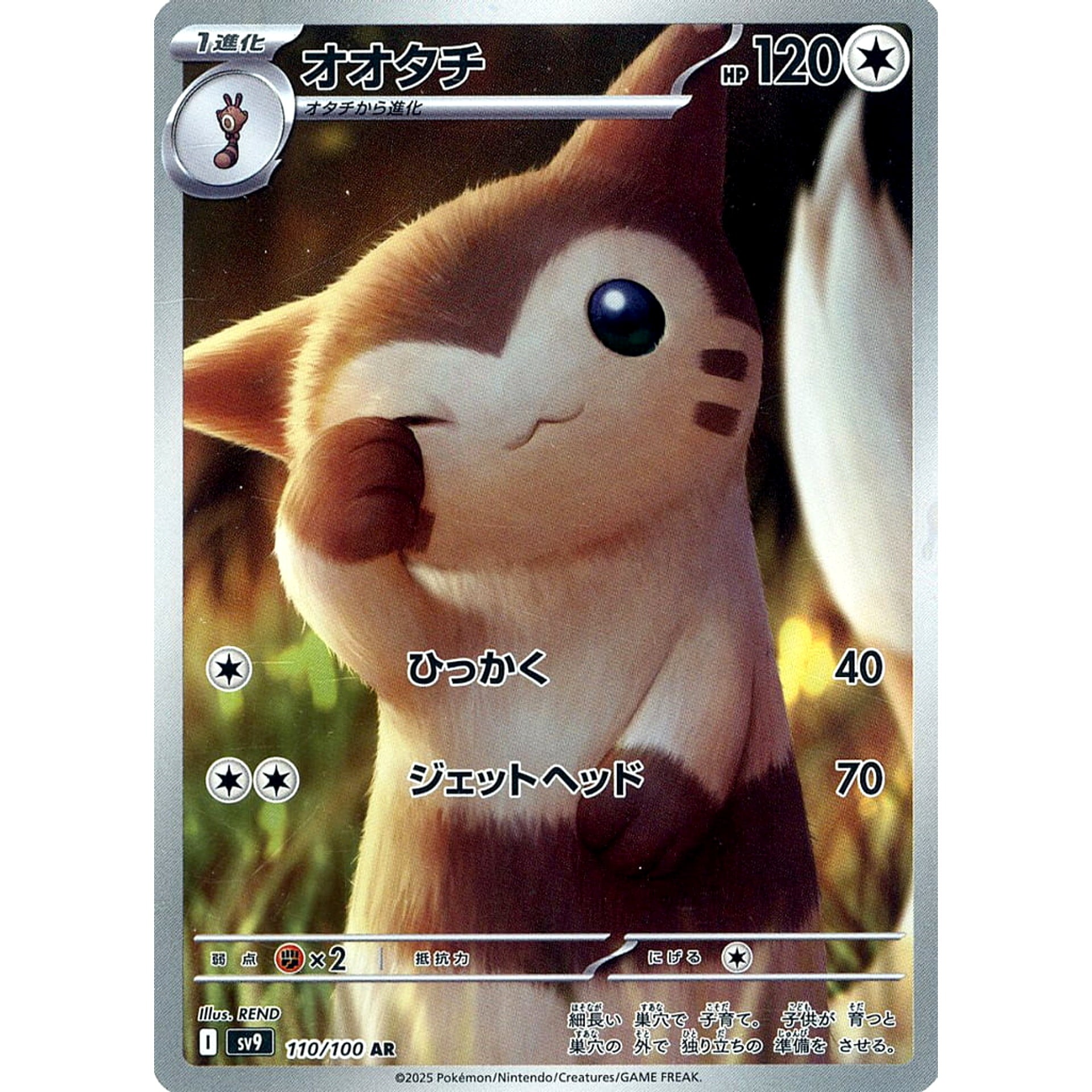 pokemon furret card Pokemon Trading Card Game Battle Partners Illustration Rare Furret #110