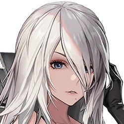 A2