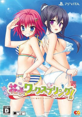 Hanasaki Work Spring! Limited Edition PlayStation Vita [USED]