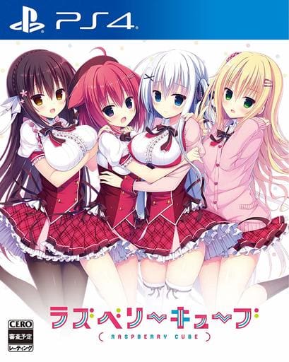 Raspberry Cube PlayStation 4 [USED]