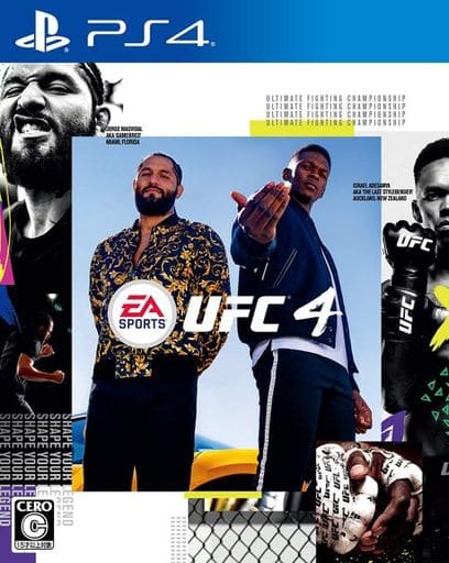 EA Sports UFC 4 PlayStation 4 [USED]