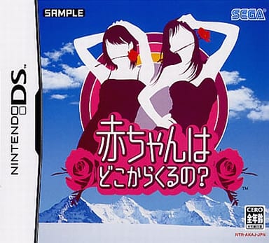 The Rub Rabbits! NINTENDO DS [USED]