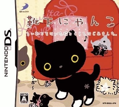 Kutsushita Nyanko: Shiroi Kutsushita o Haita Neko to Kurashi Hajimemashita. NINTENDO DS [USED]