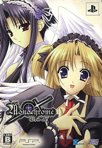 Monochrome Limited Edition PlayStation Portable [USED]
