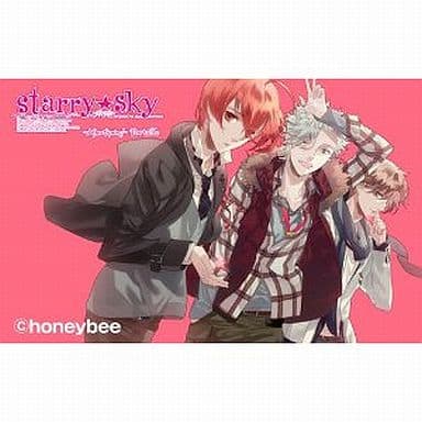 Starry Sky After Spring Portable Limited Edition PlayStation Portable [USED]