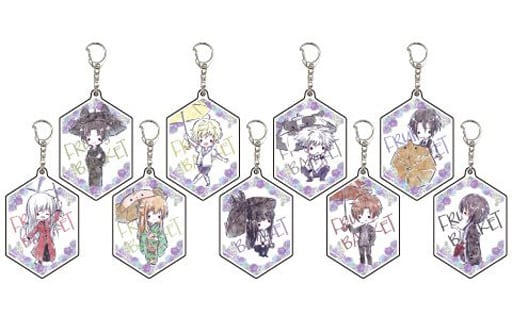 Souma Shigure, etc. Fruits Basket Graph Art Design Acrylic Keychain 04. B Set Rainy Season Ver. All 9 Types Set Key Chain [USED]
