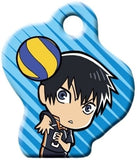 Tobio Kageyama Haikyu!! TO THE TOP Metal Collection Key Chain [USED]