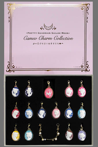 Sailor Moon, etc. Sailor Moon Cameo Charm Collection Fan Club Pretty Guardians Members Limited Charm [USED]