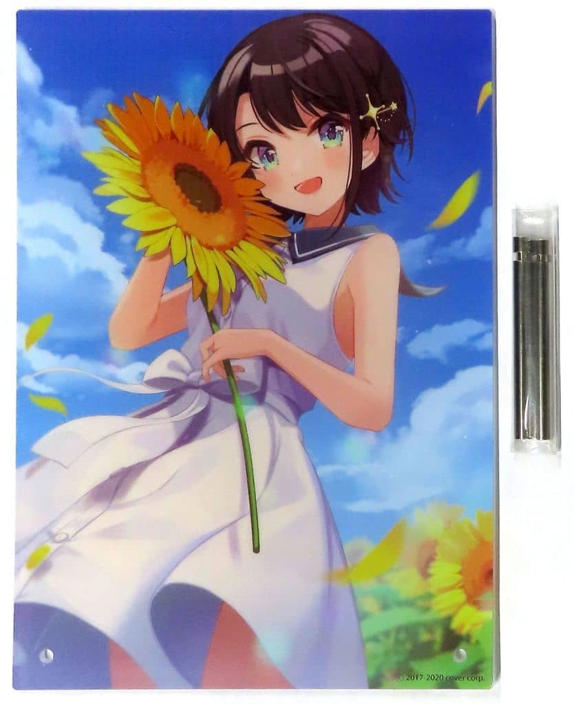 Ozora Subaru VTuber Hololive Shigureui-sensei Original Illustration Acrylic Panel Birthday Anniversary 2020 Acrylic Stands [USED]