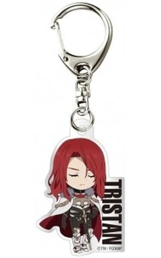 Tristan Fate/Grand Order: Divine Realm of the Round Table Camelot Trading Acrylic Key Chains Key Chain [USED]