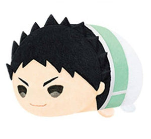 Hajime Iwaizumi Haikyu!! TO THE TOP Mochimochi Mascot Vol.4 Key Ring [USED]