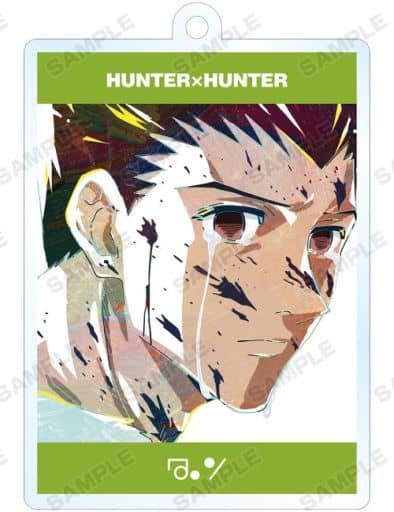 Gon Freecss Hunter x Hunter Ani-Art Trading Acrylic Key Chain 3rd Key Chain [USED]