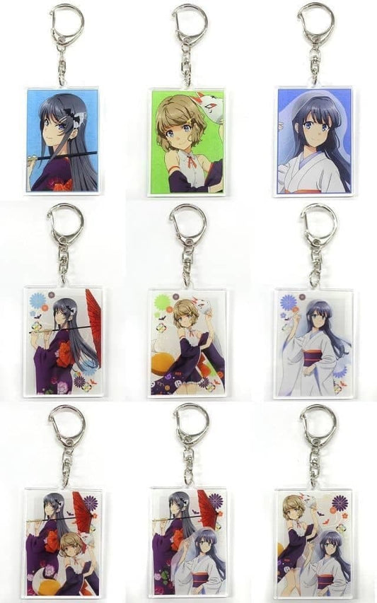 Mai Sakurajima, etc. Rascal Does Not Dream of Bunny Girl Senpai Newly Drawn Illustration Japanese Style Halloween Ver. Trading Acrylic Keychains All 9 Types Set Key Chain [USED]