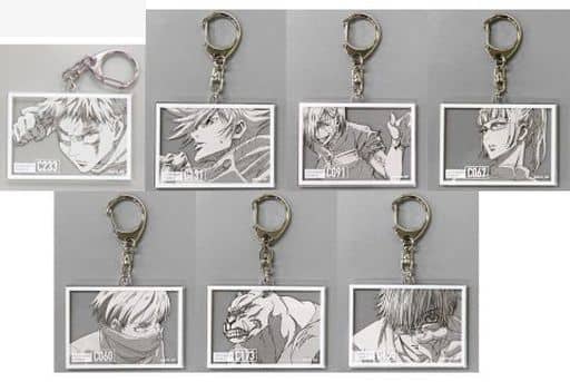 Yuji Itadori, etc. Jujutsu Kaisen Acrylic Keychain Collection Mappa 10th Anniversary Since2011 in animate Limited All 7 Types Set Key Chain [USED]