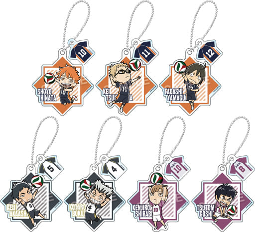Shoyo Hinata, etc. Haikyu!! Acrylic Ball Chain with Parts Part 1 All 7 Types Set Key Chain [USED]