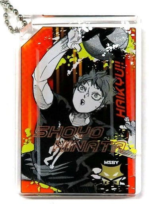 Shoyo Hinata Haikyu!! Oikawa no Zenin Taosu Domino Style Acrylic Key Chain Collection Key Chain [USED]