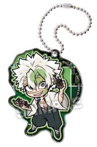 Sanemi Shinazugawa Raise Beetles Demon Slayer: Kimetsu no Yaiba Pita! Deformed Acrylic Key Chain Immersed in Hobbies Key Ring [USED]