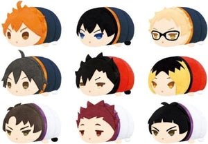 Shoyo Hinata, etc. Haikyu!! TO THE TOP Mochi Mochi Mascot Mini Vol.1 All 9 Types Set Key Ring [USED]