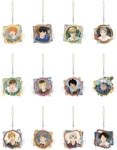 Shoyo Hinata, etc. Haikyu!! Acrylic Strap Itadakimasu! All 12 Types Set Key Chain [USED]