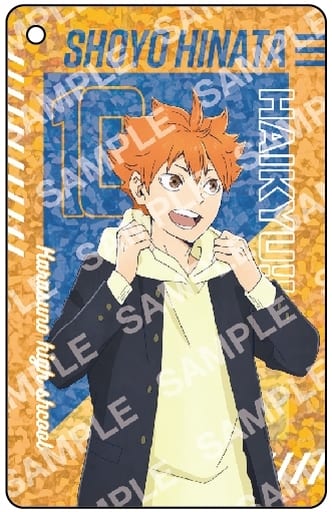 Shoyo Hinata Haikyu!! Visual Card Key Chain Collection Key Chain [USED]