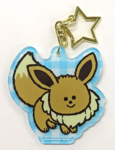 Eevee Pokemon Henteko Cute Swimmer Acrylic Keychain Collection Pokemon Center Limited Key Chain [USED]