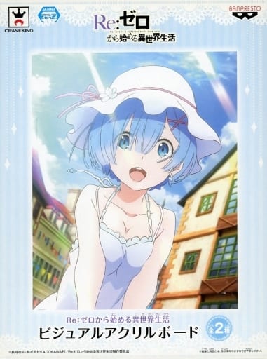 Rem One Piece Re:ZERO -Starting Life in Another World- Visual Acrylic Board Acrylic Stand [USED][Pre-Order]
