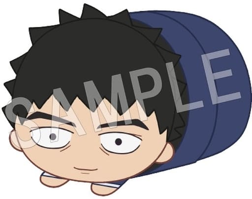 Katsuya Serizawa Mob Psycho 100 III Mochikororin Plush Mascot Vol.1 Plush Toys [USED]