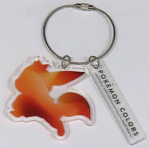 Eevee Pokemon Acrylic Keychain Experience-Based Exhibition Pokemon Colors Limited Key Chain [USED]