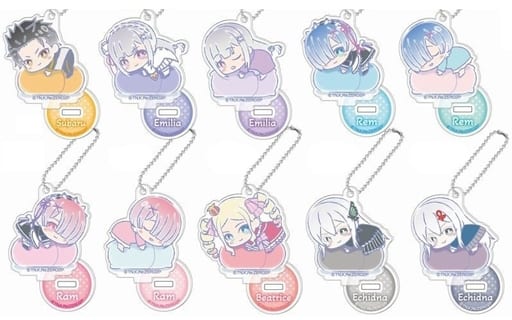 Emilia, etc. Re:ZERO -Starting Life in Another World- Hagumeets Stand Mini Acrylic Key Chain All 10 Types Set Key Chain [USED]