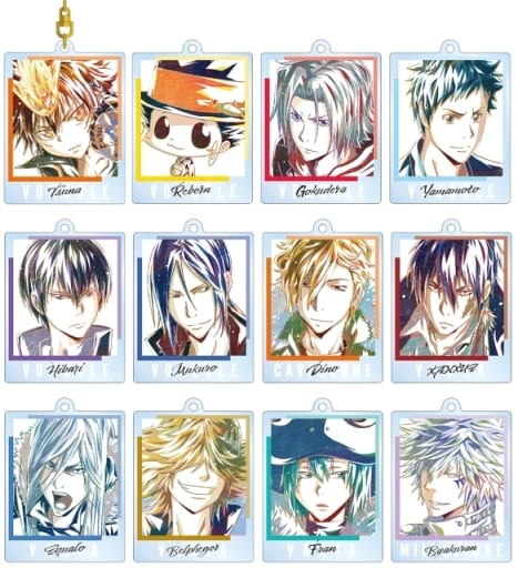 Tsunayoshi Sawada, etc. Reborn! Ani-Art Part 4 Acrylic Keychain All 12 Types Set Key Chain [USED]