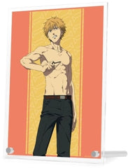 Chainsaw Man Denji A A5 Acrylic Panel Acrylic Stands [USED]