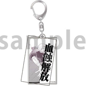 Jin Kogasaki Kesshoku Kaiho Togen Anki: Dark Demon of Paradise Acrylic Key Chain Key Ring [USED]