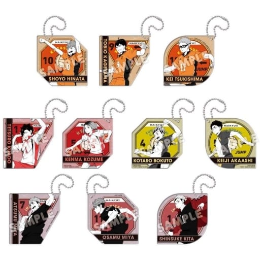 Tobio Kageyama, etc. Haikyu!! Decorate Acrylic Key Chain All 10 Types Set Key Chain [USED]