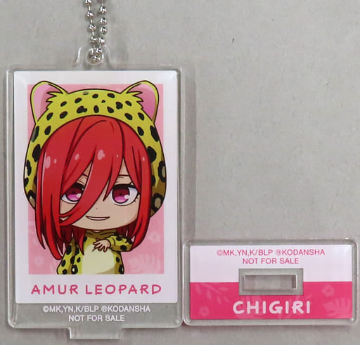 Hyoma Chigiri Amur Leopard Blue Lock Chibi Chara Newly Drawn Illustration Acrylic Stand Key Chain Ver.A Tobu Zoological Park Event Limited Box Purchase Privilege Key Chain [USED]