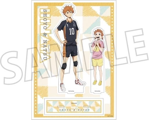 Haikyu!! To The Top Shoyo Hinata Natsu Hyuuga Bloodline Series Acrylic Stand Acrylic Stands [USED]