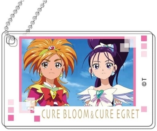 Cure White Cure Black Futari wa Precure: Splash Star Pretty Cure All Stars Decofla Acrylic Key Chain A box Key Chain [USED]