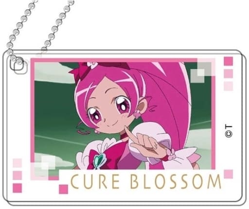 Heart Catch Pretty Cure! Pretty Cure All Stars Decofla Acrylic Key Chain A box Key Chain [USED]