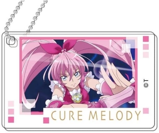 Suite PreCure Pretty Cure All Stars Decofla Acrylic Key Chain A box Key Chain [USED]