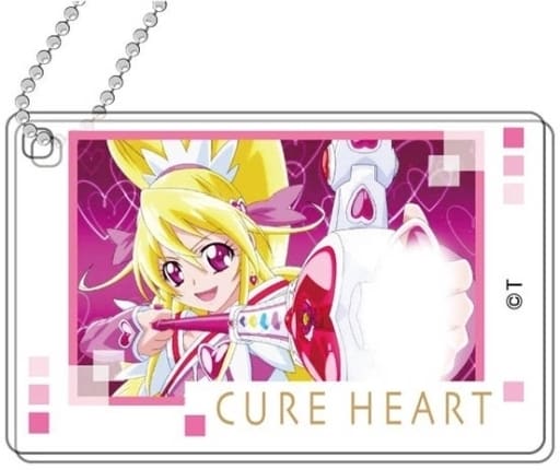 DokiDoki! PreCure Pretty Cure All Stars Decofla Acrylic Key Chain A box Key Chain [USED]