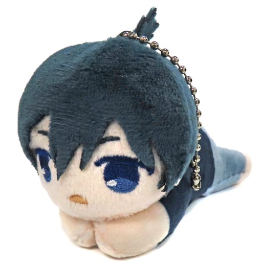 Chainsaw Man Aki Hayakawa Benefit Ver. Hagu Chara Collection animate Limited Box Purchase Privilege Plush [USED]