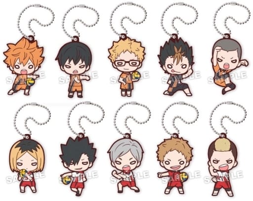 Shoyo Hinata, etc. Haikyu!! Nitotan Karasuno VS Nekoma Rubber Mascot All 10 Types Set Key Chain [USED]