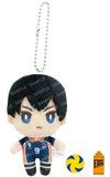 Tobio Kageyama Haikyu!! Omochi Plush Mini Plush Toys [USED]