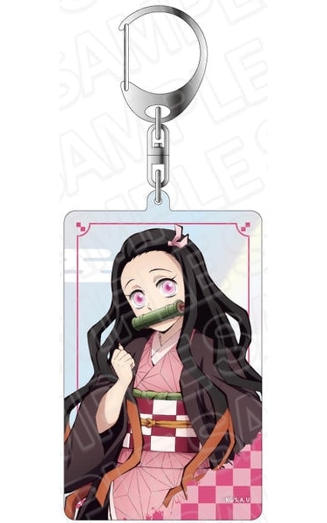 Nezuko Kamado Standing Picture Ver. Demon Slayer: Kimetsu no Yaiba Aurora Acrylic Key Chain Key Chain [USED]