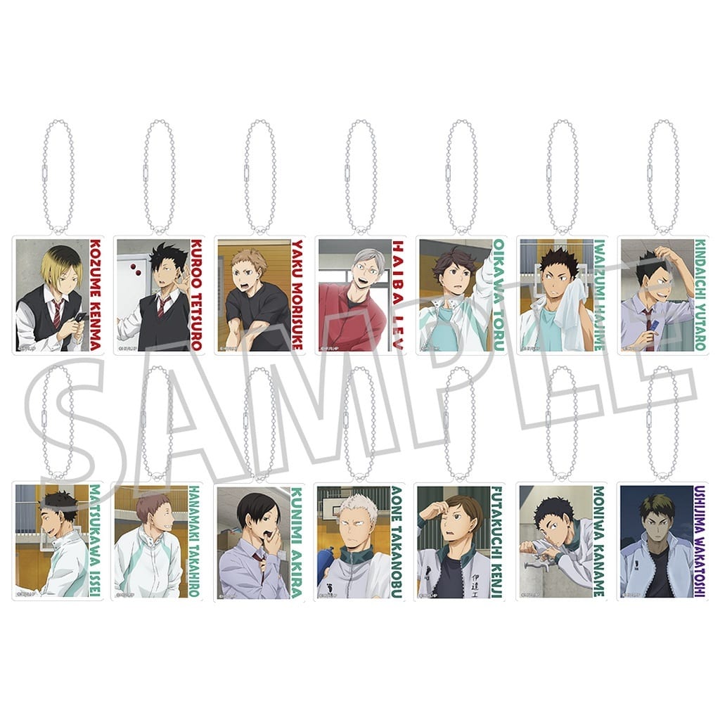 Kenma Kozume, etc. Haikyu!! Acrylic Keychain Collection All 14 Types Set Key Chain [USED]