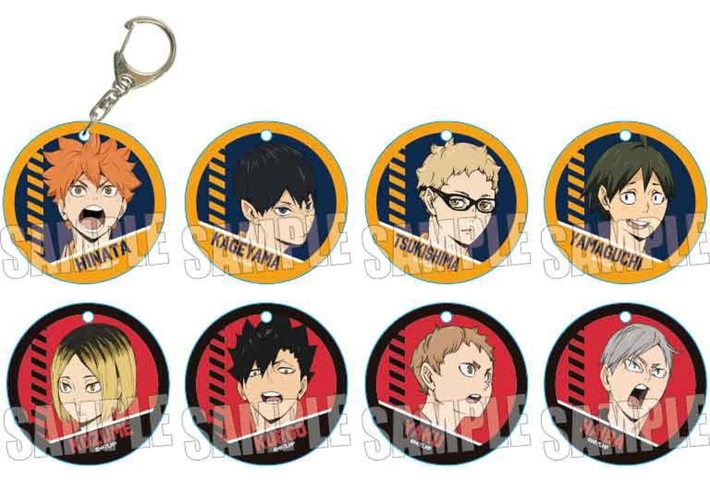 Shoyo Hinata, etc. Haikyu!! Trading Soft Clear Charm All 8 Types Set Charm [USED]