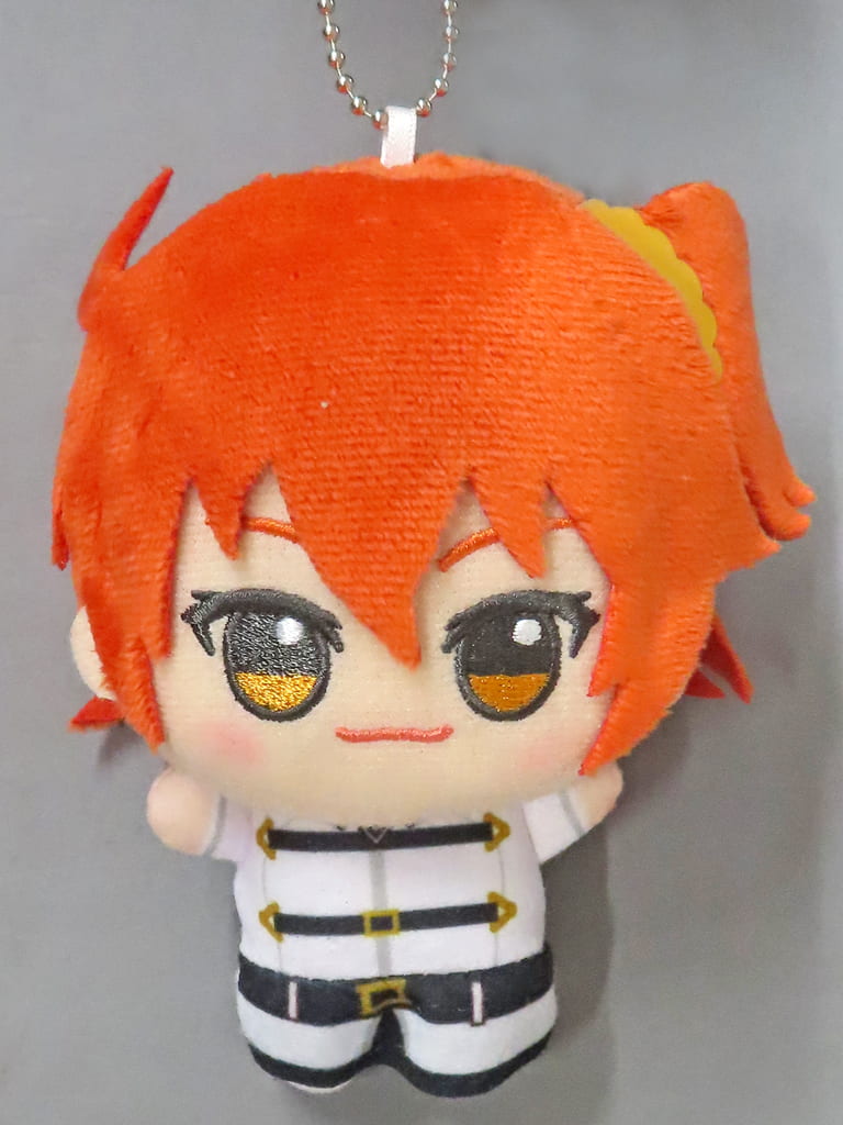 Female Protagonist Fate/Grand Order Chibigurumi Vol.2 Mascot [USED]