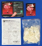 Reimu Hakurei Nemu Matsukura Ver. Toho Project WSC#044 1/8 Resin Cast Kit Figure [USED]