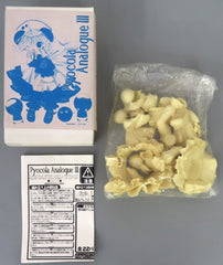Di Gi Charat Pyocola Analogue III Figure Series Collection Vol.5 Resin Cast Kit 1/6 Figure [USED]