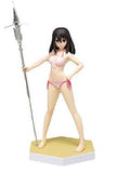 Yukina Himeragi Strike the Blood BEACH QUEENS PREMIUM 1/10 PVC Painted Finished Product Be-J web Shop Limited Figure [USED]