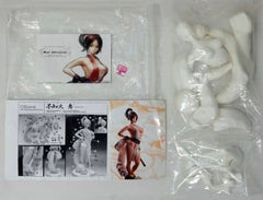 Shiranui Mai The King of Fighters XIII Resin Cast Kit Figure [USED]